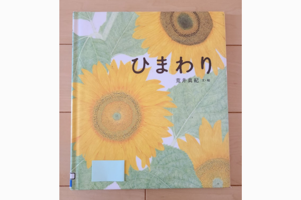 ひまわり｜絵本 紹介