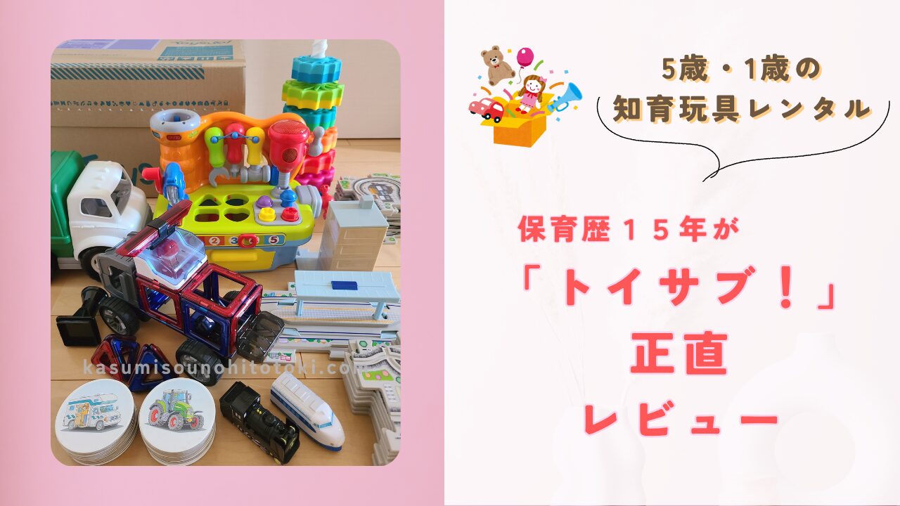 保育歴１５年が解説、トイサブ！正直レビュー